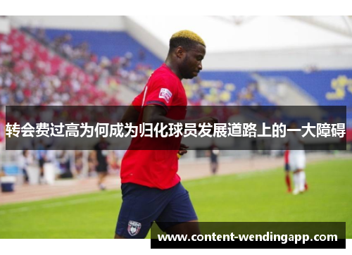 转会费过高为何成为归化球员发展道路上的一大障碍 转会费过高为何成为归化球员发展道路上的一大障碍