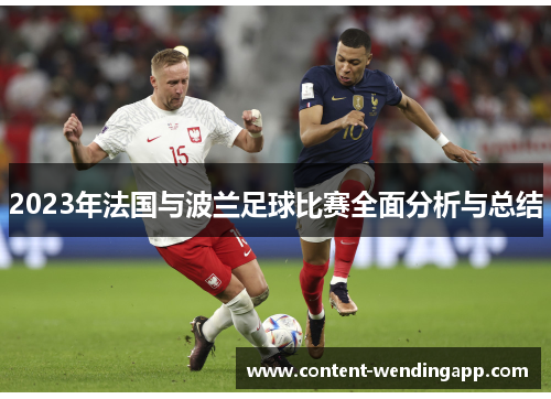 2023年法国与波兰足球比赛全面分析与总结