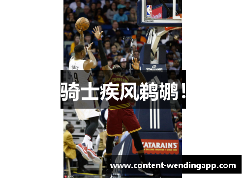 骑士疾风鹈鹕! 骑士疾风鹈鹕!