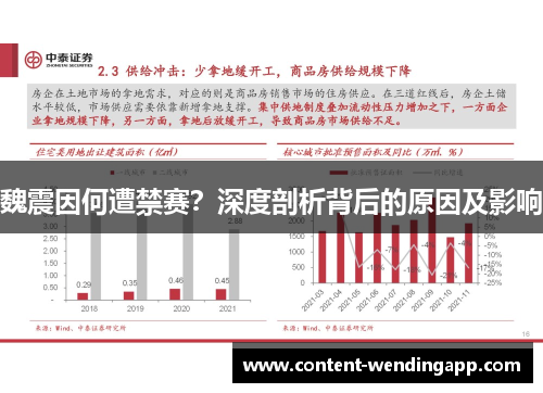 魏震因何遭禁赛？深度剖析背后的原因及影响